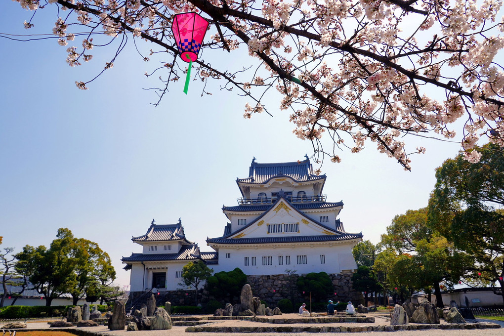 岸和田城の桜風景です