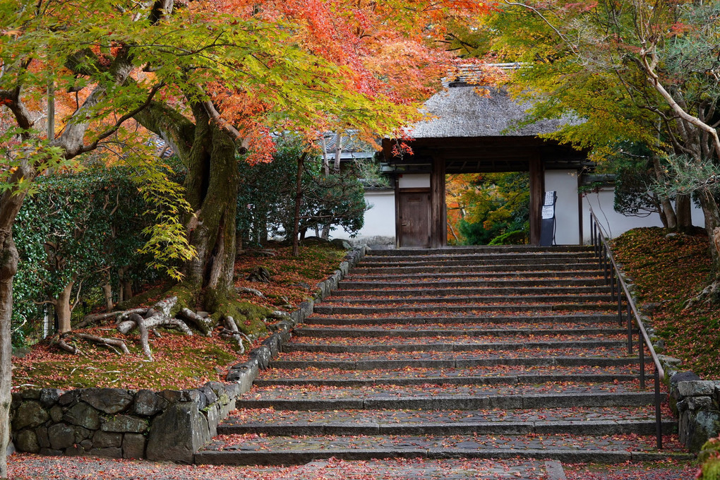 晩秋の京都散策(その1)