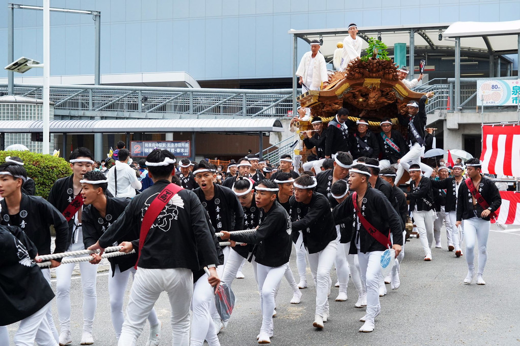 泉大津市市制80周年記念、だんじりパレードが開催されました。