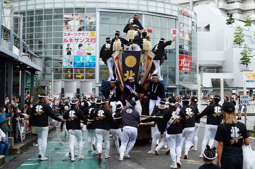 泉大津市市制80周年記念、だんじりパレードが開催されました。