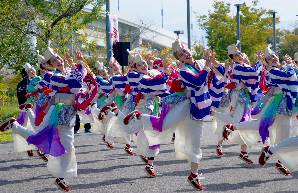 「第18回泉州YOSAKOI ゑえじゃないか祭り」が開催されました。