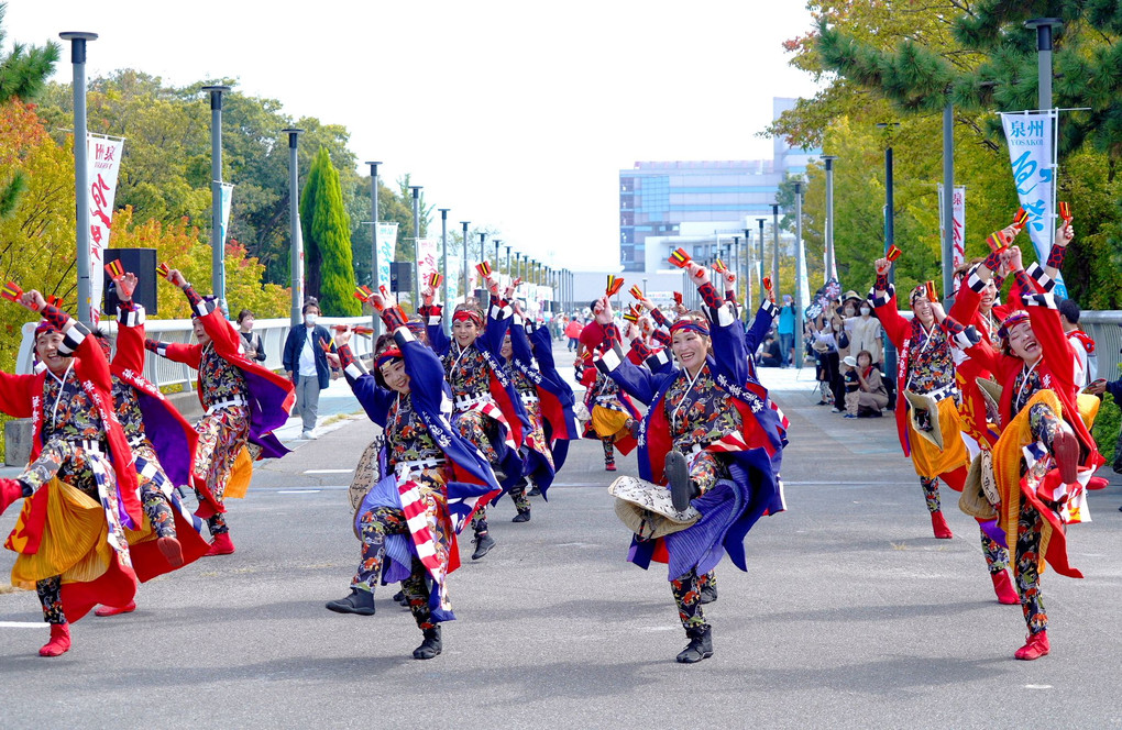 「第18回泉州YOSAKOI ゑえじゃないか祭り」が開催されました。