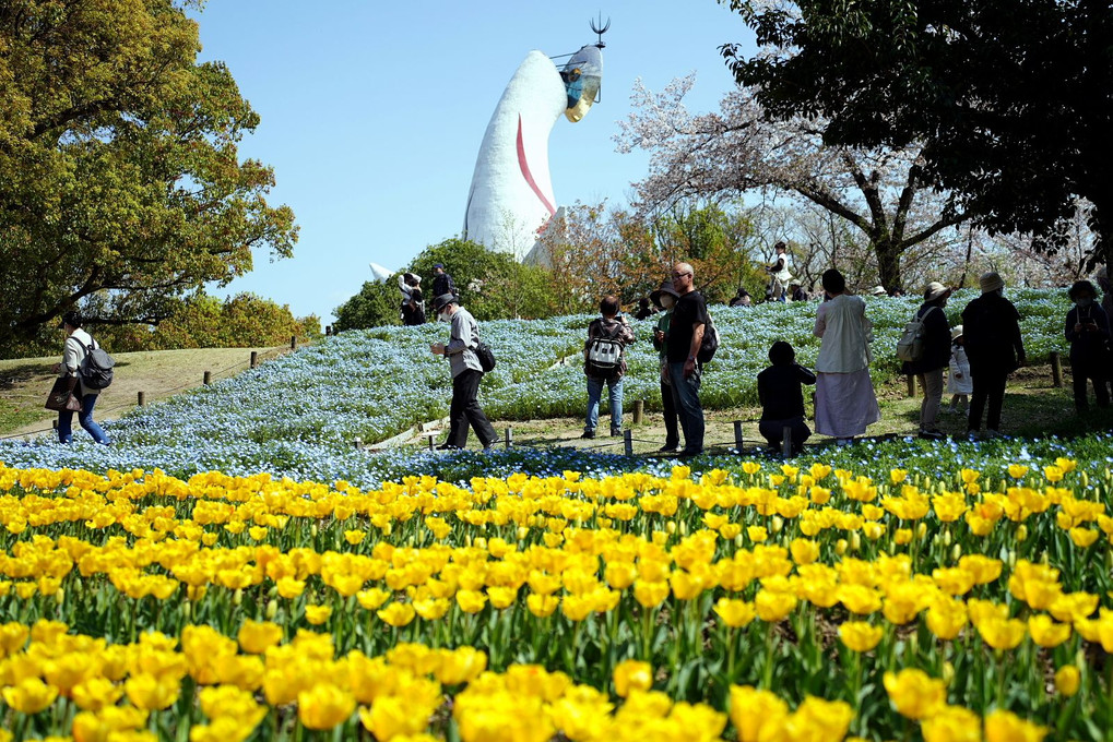 春の「万博記念公園」を散策