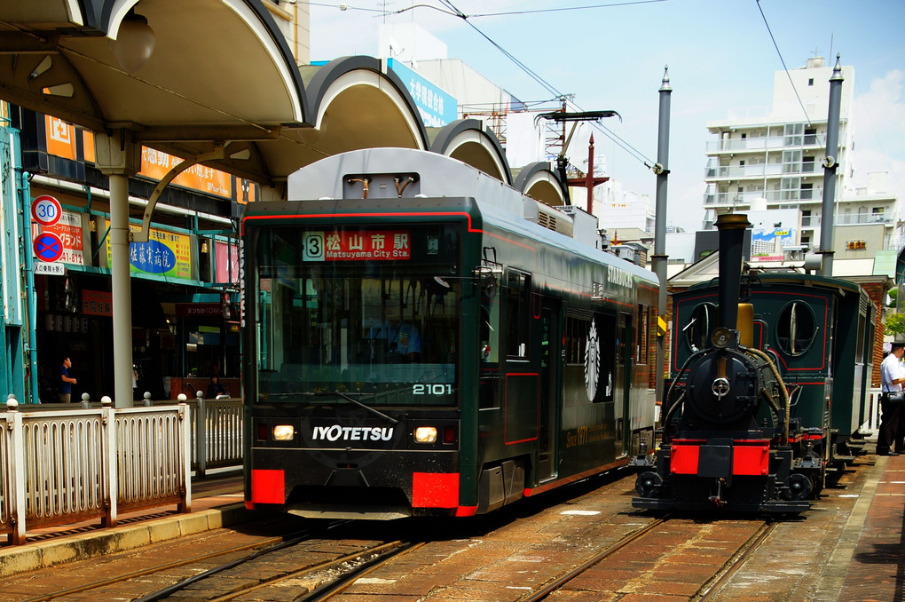 新旧坊っちゃん列車？