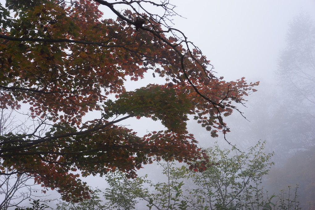 鼻曲山～浅間高原の秋