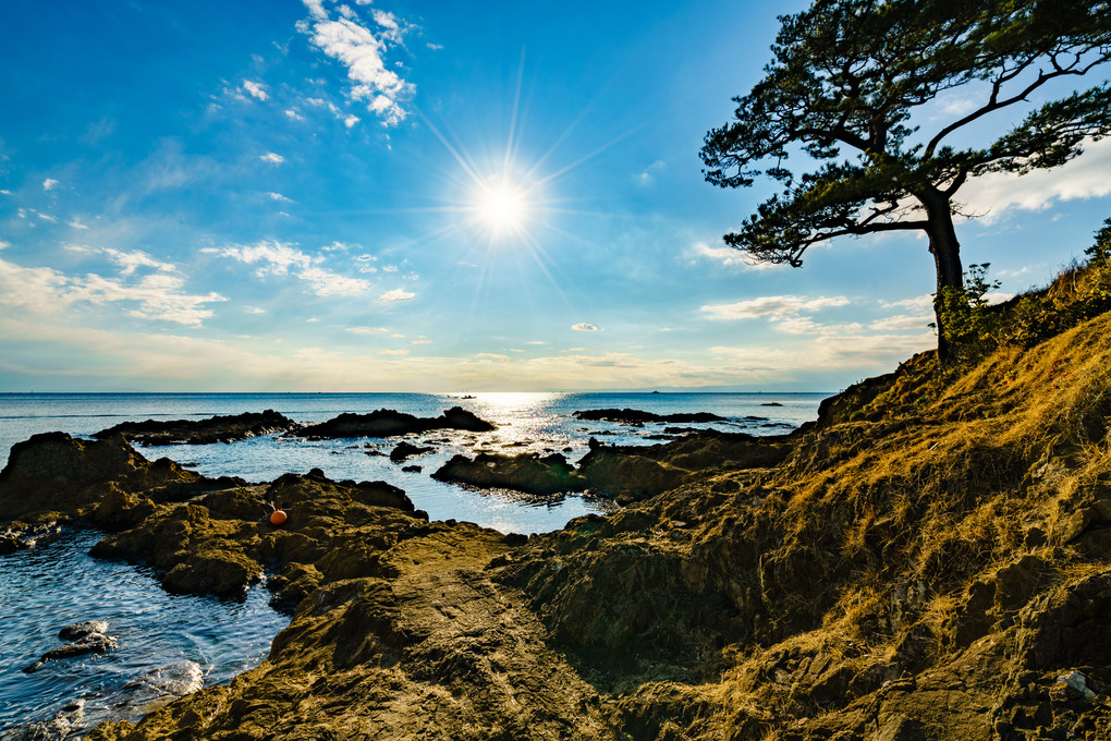 秋谷・立石海岸