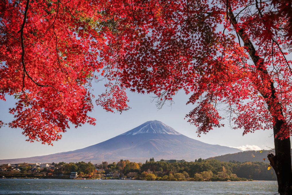 2017富士河口湖紅葉まつり