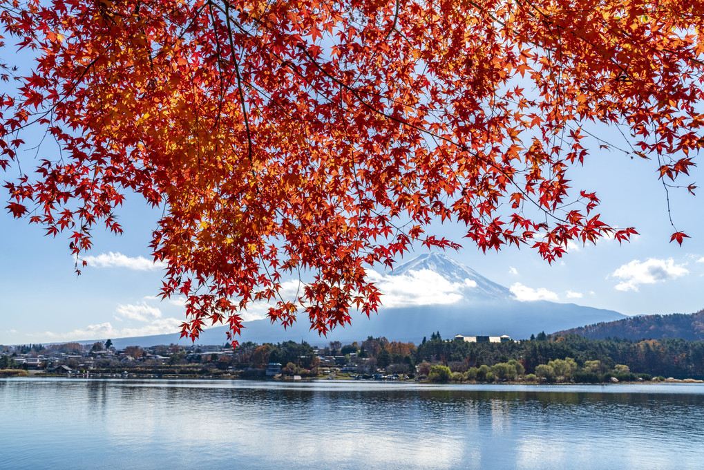 富士河口湖紅葉まつり2018