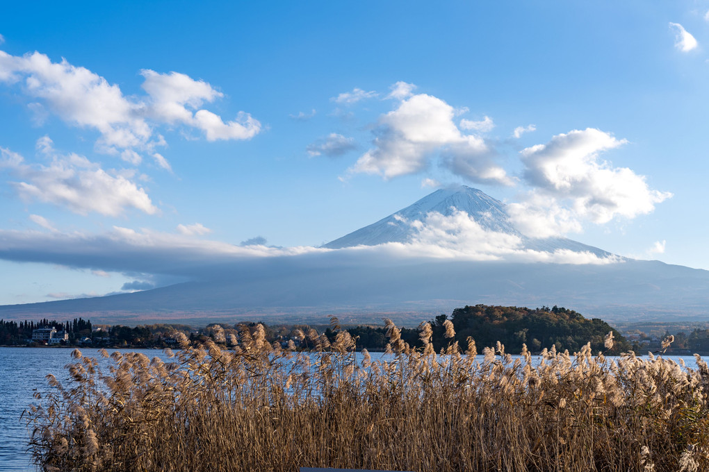 富士河口湖紅葉まつり2019