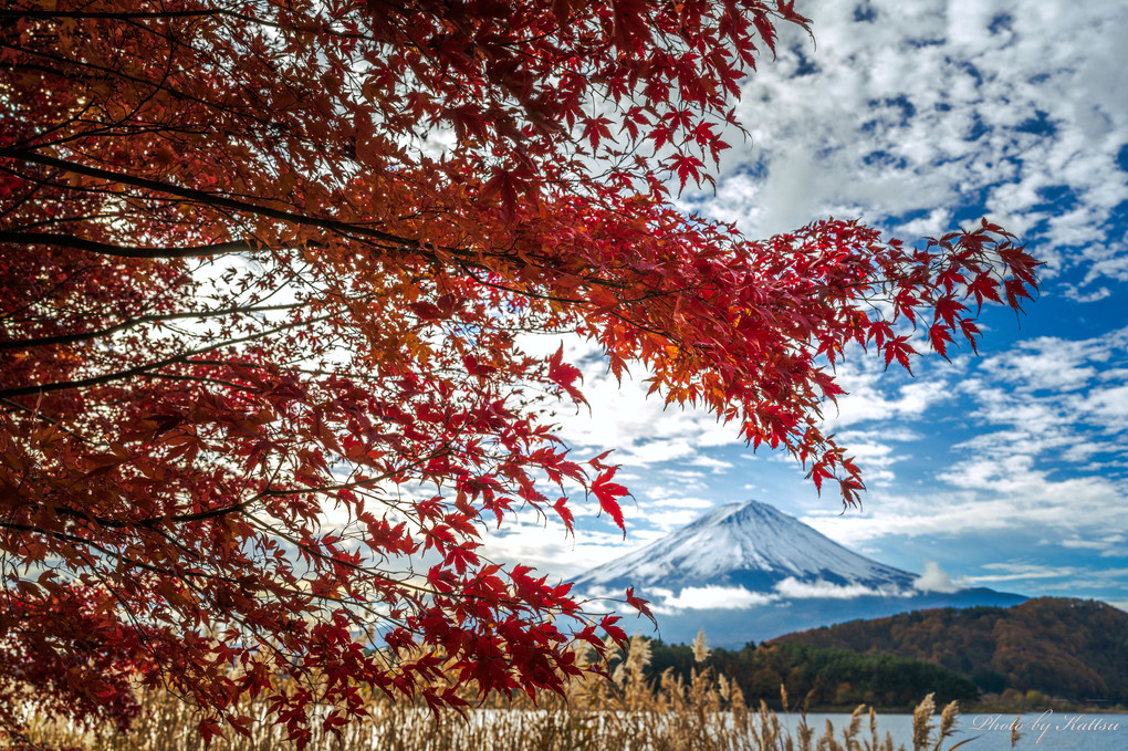 富士河口湖紅葉まつり2023