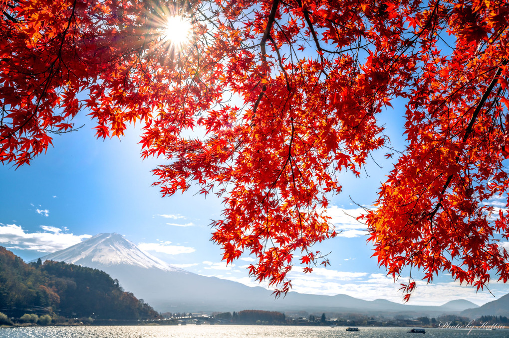 富士河口湖紅葉まつり2023