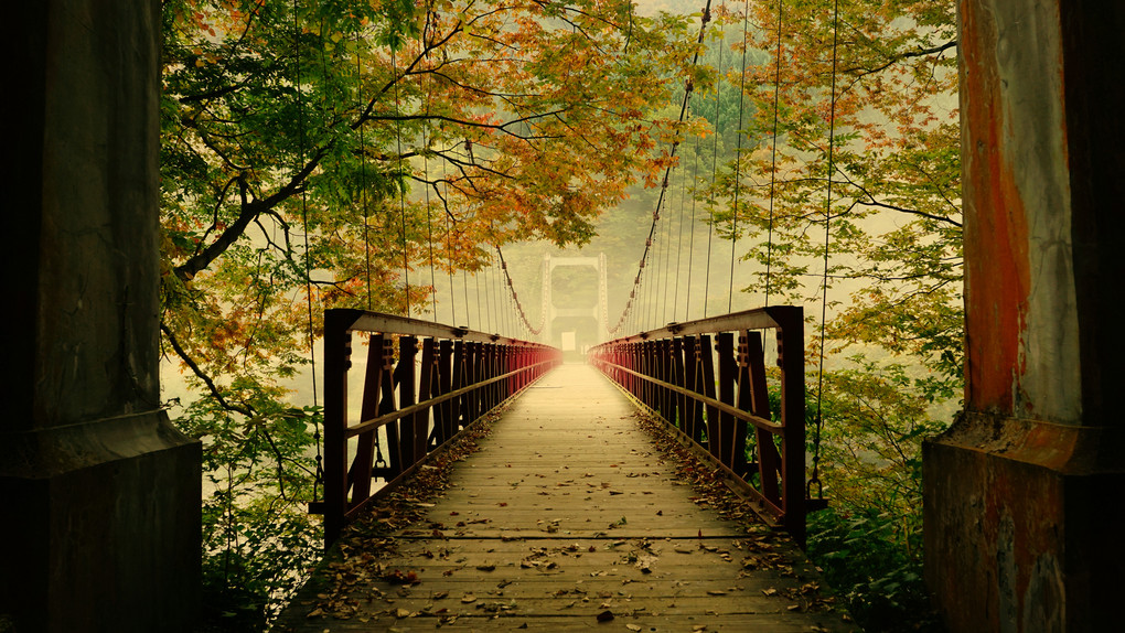 朝霧のなかの神の岩橋そして紅葉