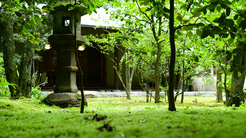 初夏の鎌倉