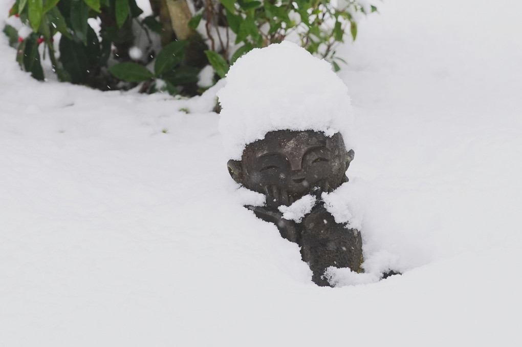 雪の圓光寺