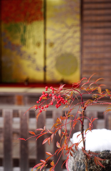 雪の圓光寺