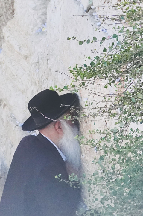 ＂なげき＂　/ 嘆きの壁　エルサレム  