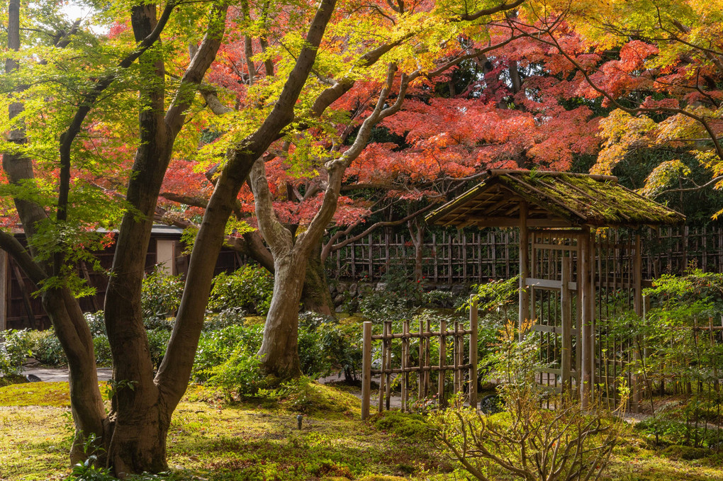 茶室「汎庵」