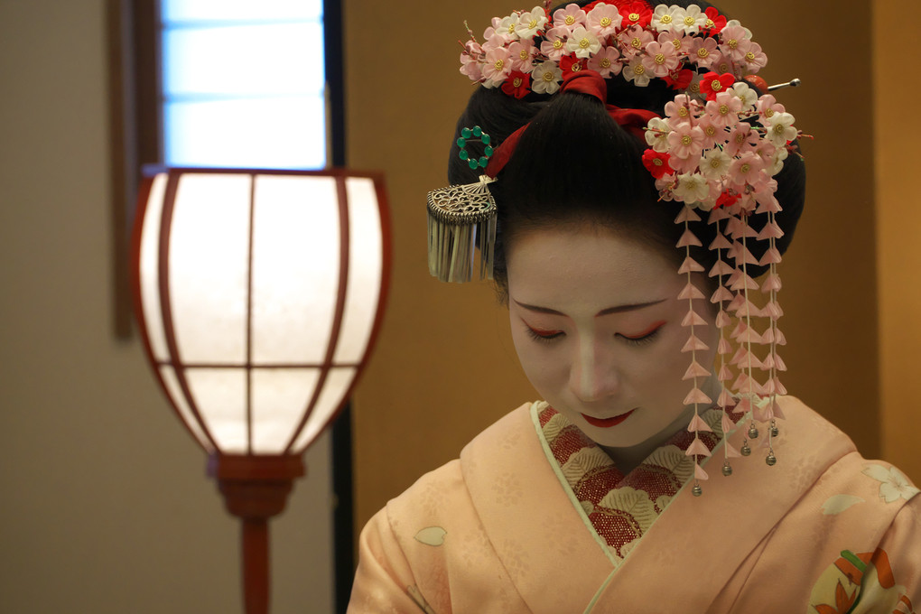 京都の伝統　美　雅