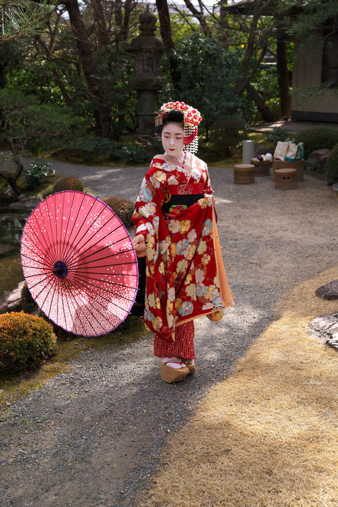 初々しい舞妓さん