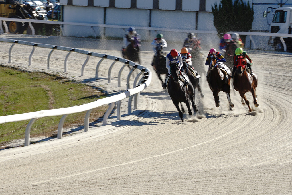 笠松競馬場2