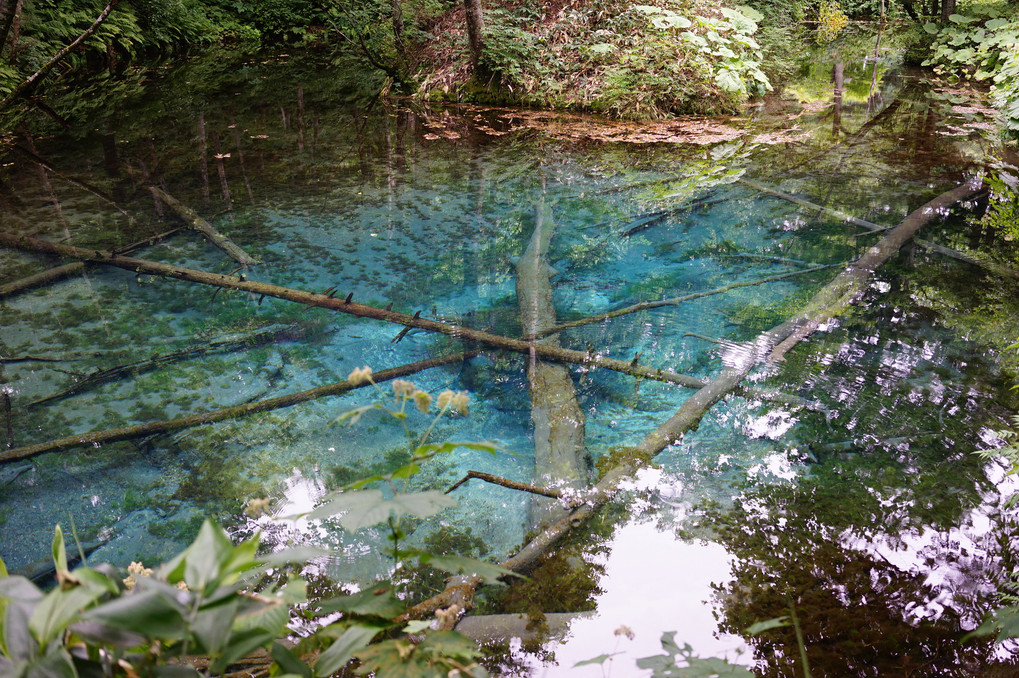 神秘の池