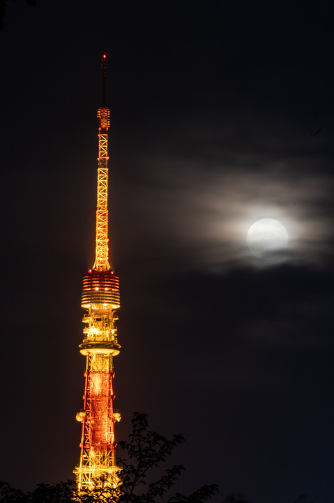 雨上がりの月夜