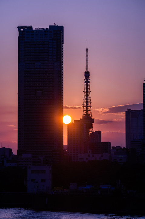 Sunset over the Tokyo Tower