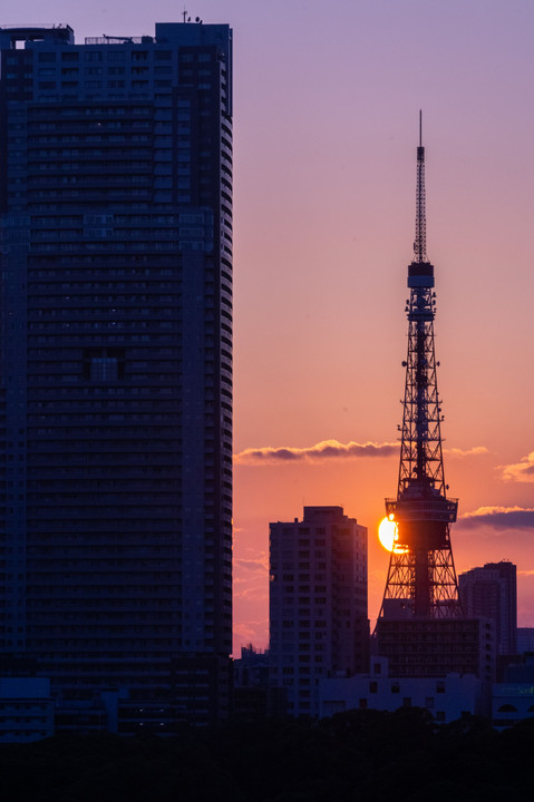Sunset over the Tokyo Tower