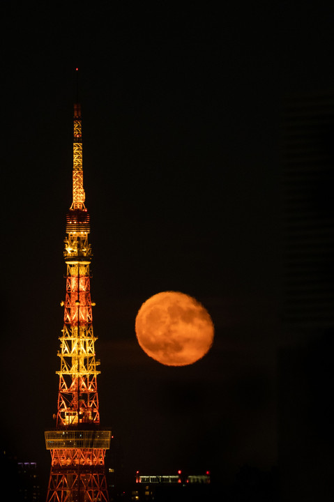 東京タワーと月