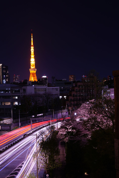 Tokyo Tower from Roppongi Hills