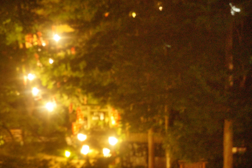 真夜中の神社の参道