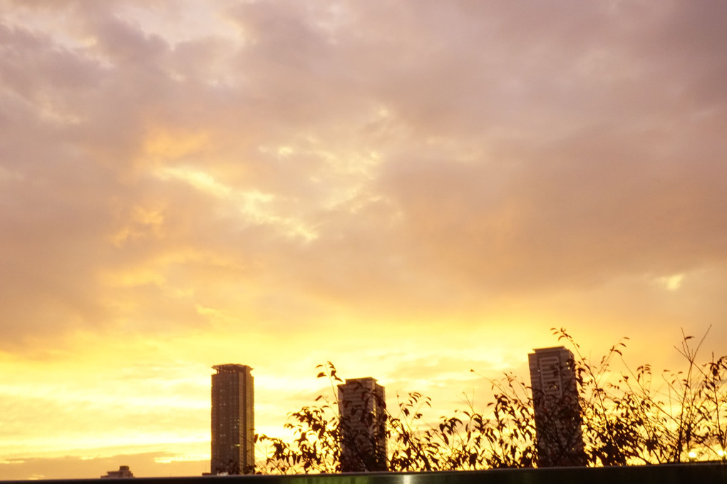 都会の夕日