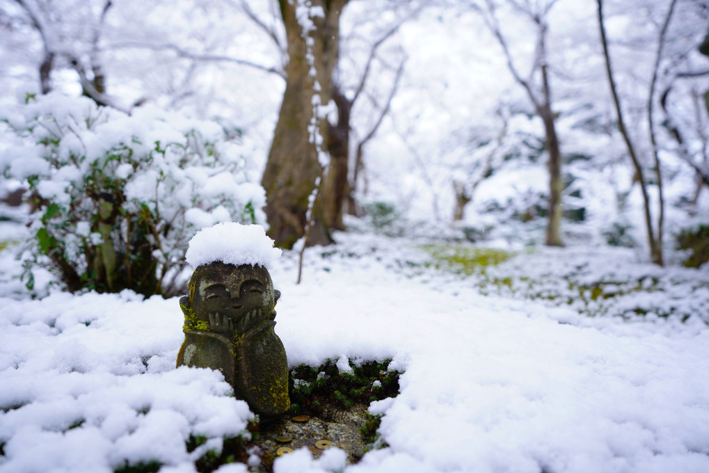 *二月の雪*