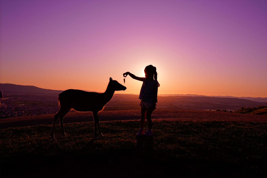 Deer and a Girl