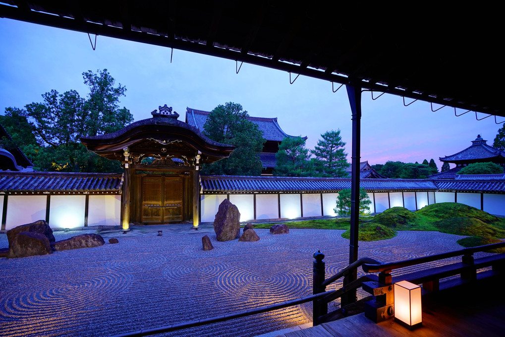 宵闇に輝く青もみじ　〜東福寺ライトアップ〜