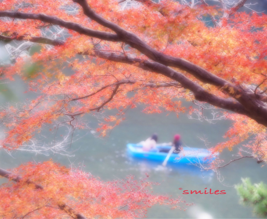 嵐山〜高雄の紅葉