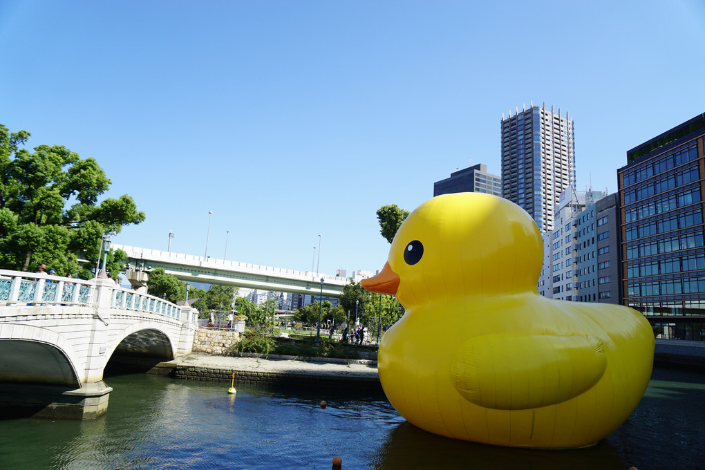 Rubber Duck in Osaka