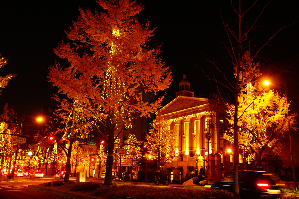 銀杏並木のクリスマス