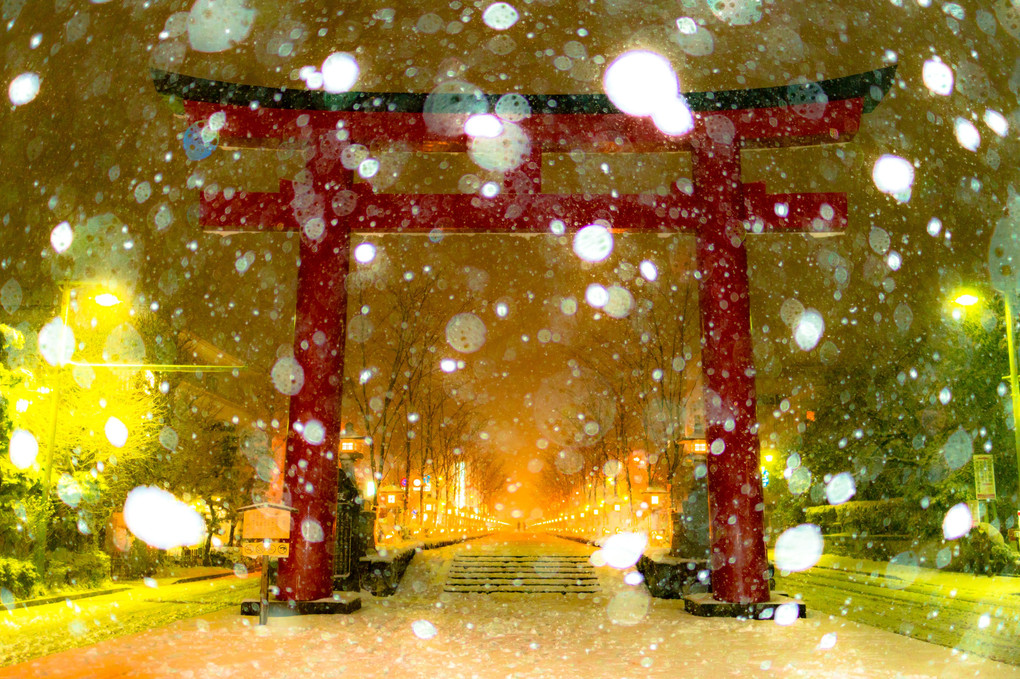 鎌倉に雪が降る日