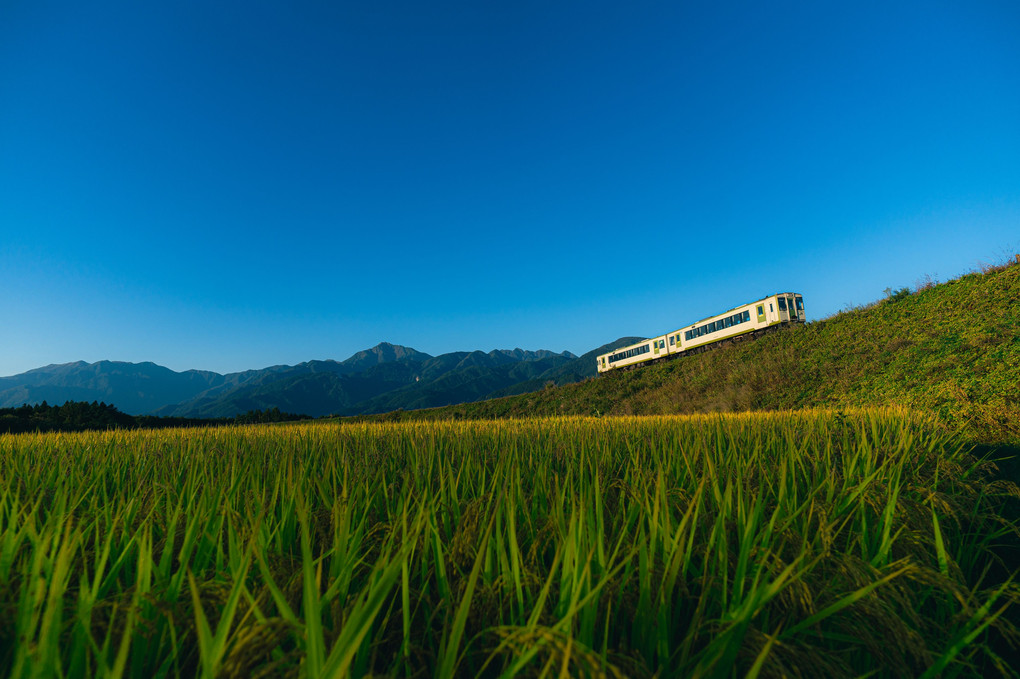 一番列車