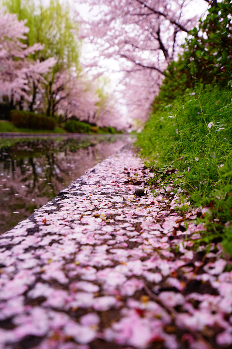 雨上がり