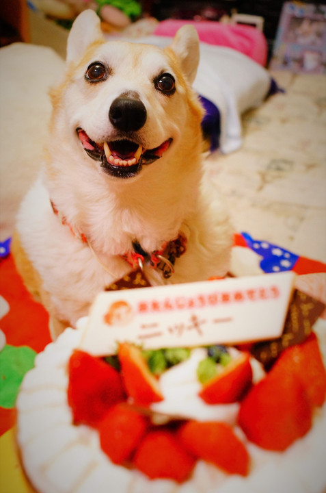 誕生日女子そのいち