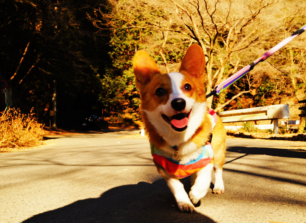 今年もよろしくお願いします！