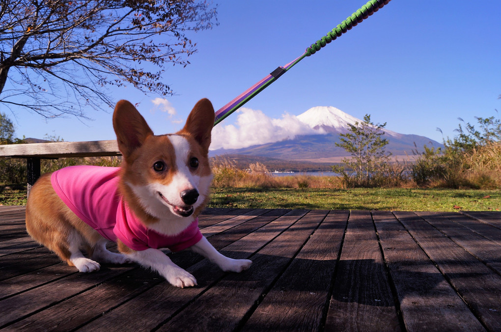 富士山の前で決めポーズ！