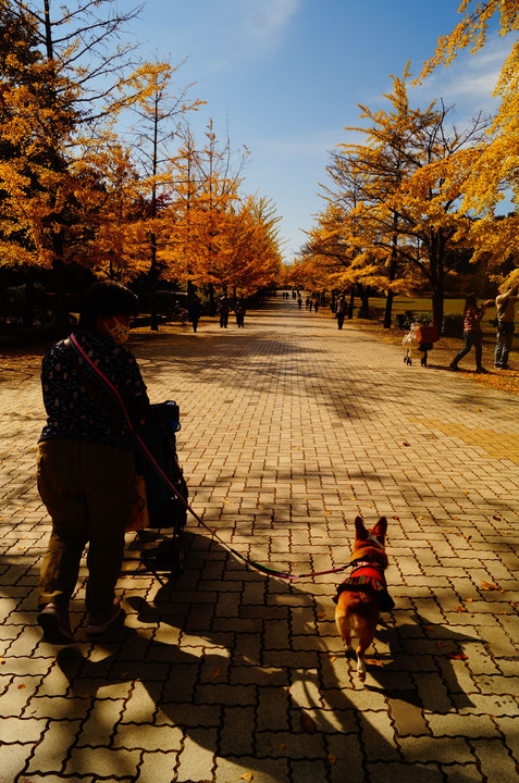 秩父ミューズパークでおさんぽコニーちゃん　その1