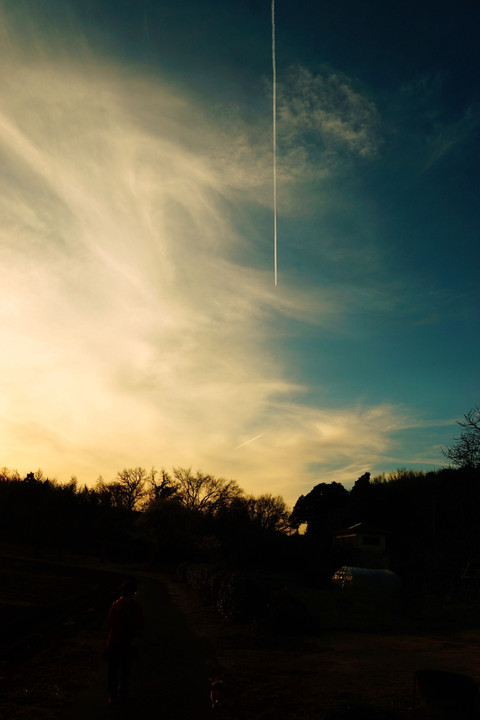飛行機雲の日
