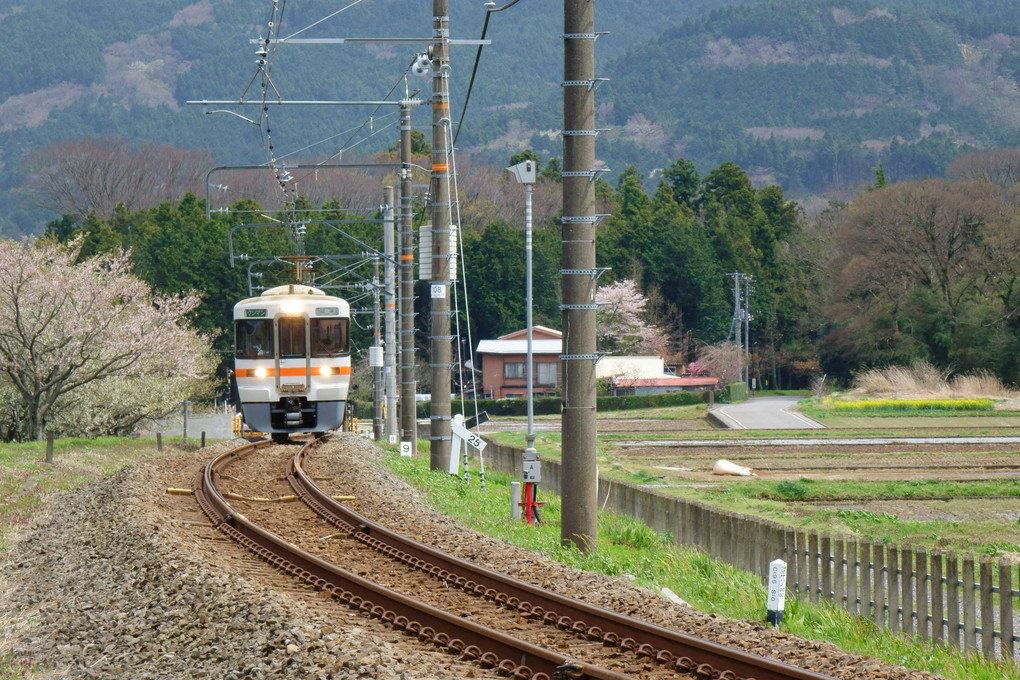 春列車が行く