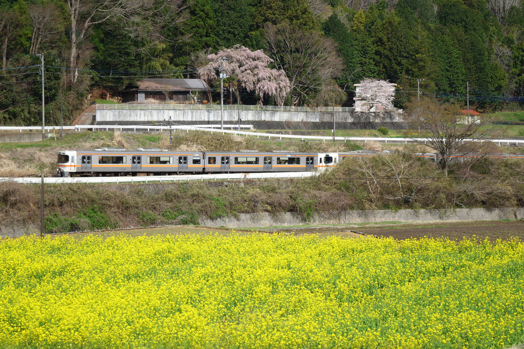 なのはな