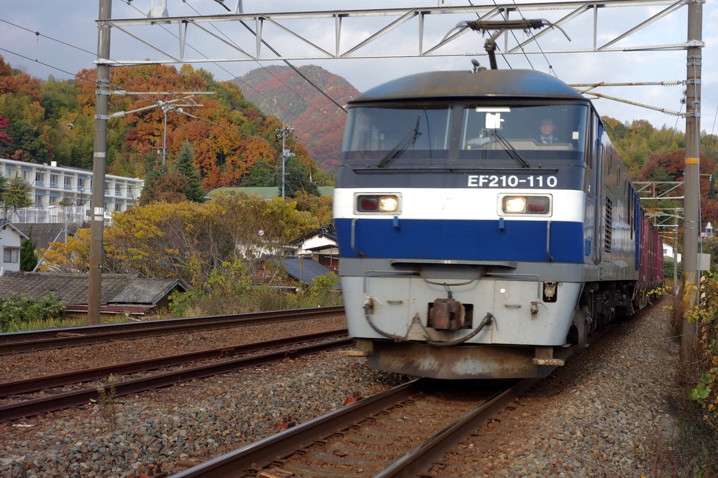 玖波駅を通過する貨物列車