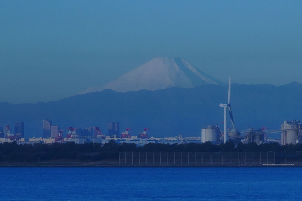 舞浜の月夜と舞浜からの富士山